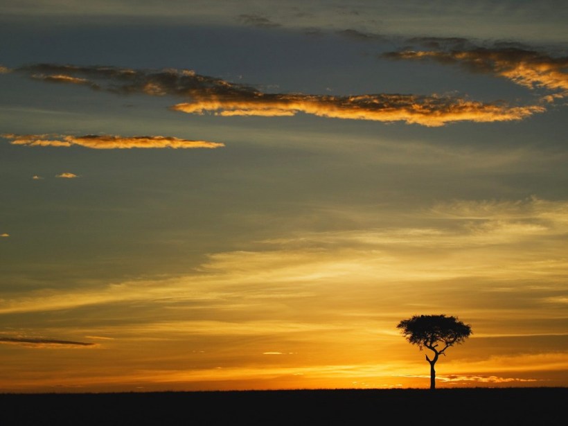 d832f-africa-paisagem-3