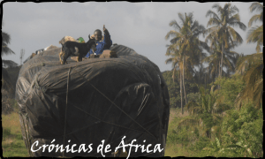 crónicas de áfrica - african chronicles