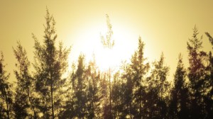 Nascer do Sol em Maputo